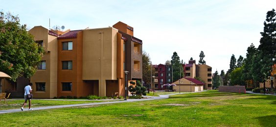 Noritz University Commercial 7